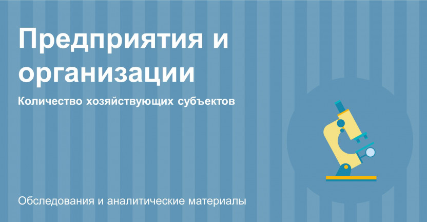 Количество хозяйствующих субъектов, включенных в Статистический регистр по Воронежской области